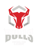 BULLS logo